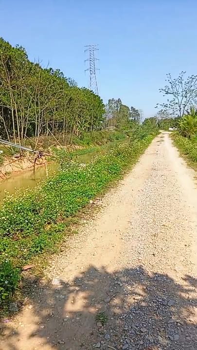 Bán Trang Trại Thanh Hóa 12.493m² - Đầu Tư Sinh Lời Hấp Dẫn