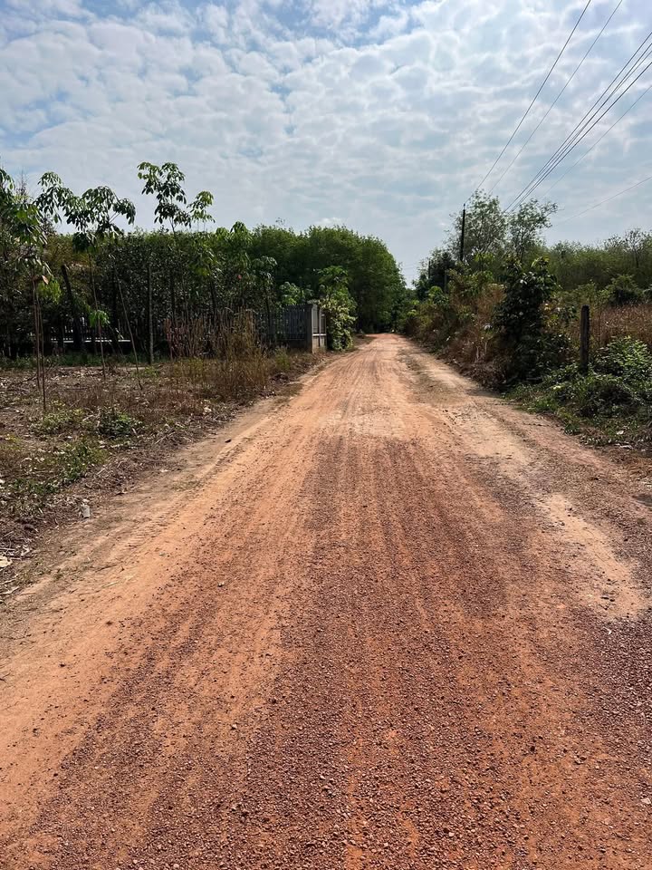 1.1ha Cao Su Phú Giáo, Bình Dương - Hơn 4 Tỷ, Sẵn 100m² Thổ Cư