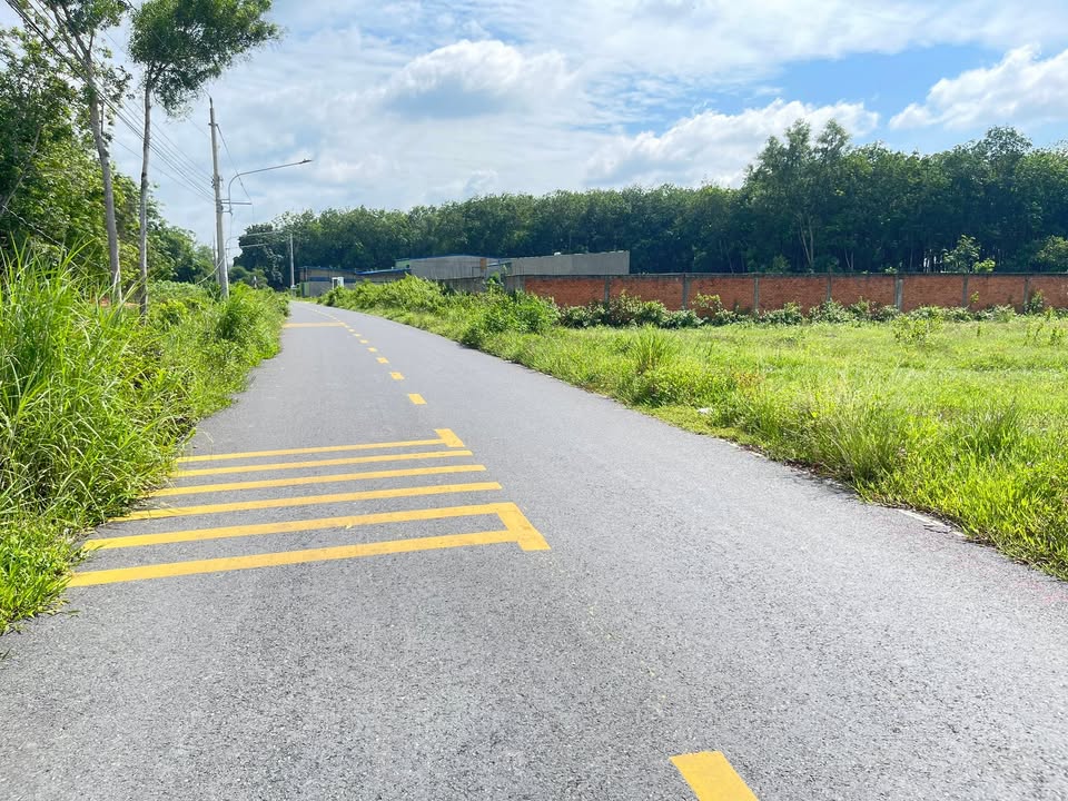 Đất Nền Chánh Phú Hòa, Bến Cát 900m² - Sổ Đỏ Thổ Cư, Giá Tốt