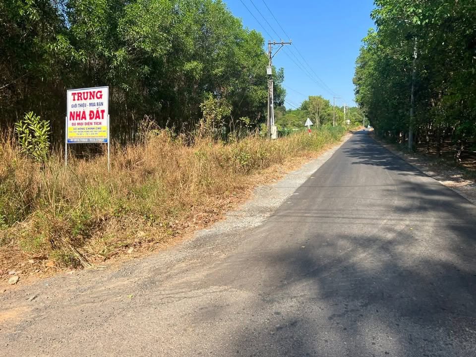 Đất Nền 3393m² 2 Mặt Tiền - Sát KCN Bàu Cạn, Long Thành, Đồng Nai - Giá Tốt