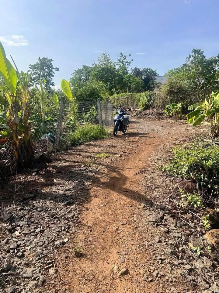 Đất Sổ Riêng 300m² Xã Gia Canh, Định Quán - Giá Chỉ Từ 2xx Triệu