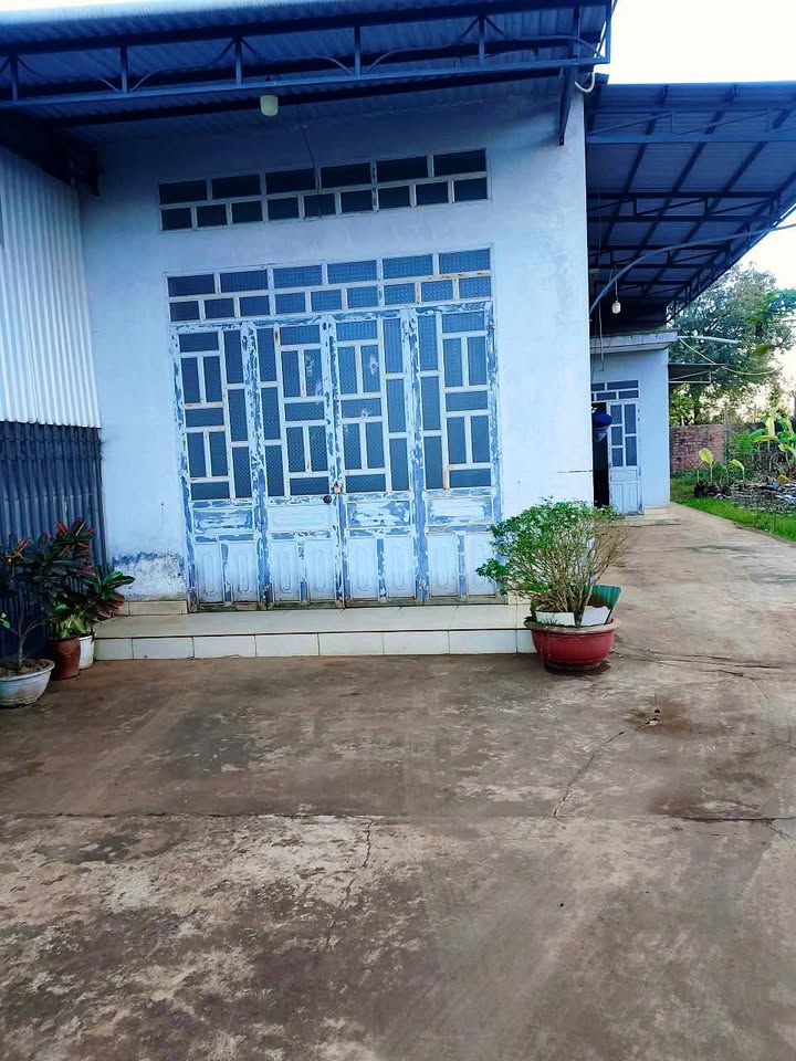 Đất Mặt Tiền Quốc lộ 671 Pleiku 231m² - Mặt tiền kinh doanh đắc địa!