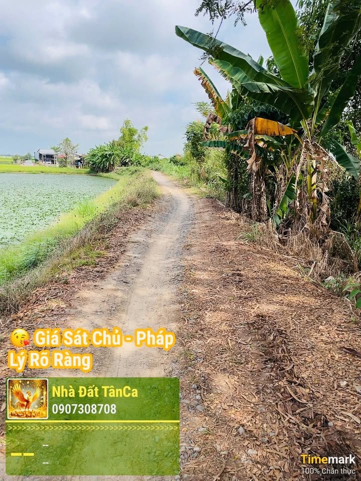 Đất Nền An Phong 1000m² - Tiềm Năng Tăng Giá Vượt Trội!