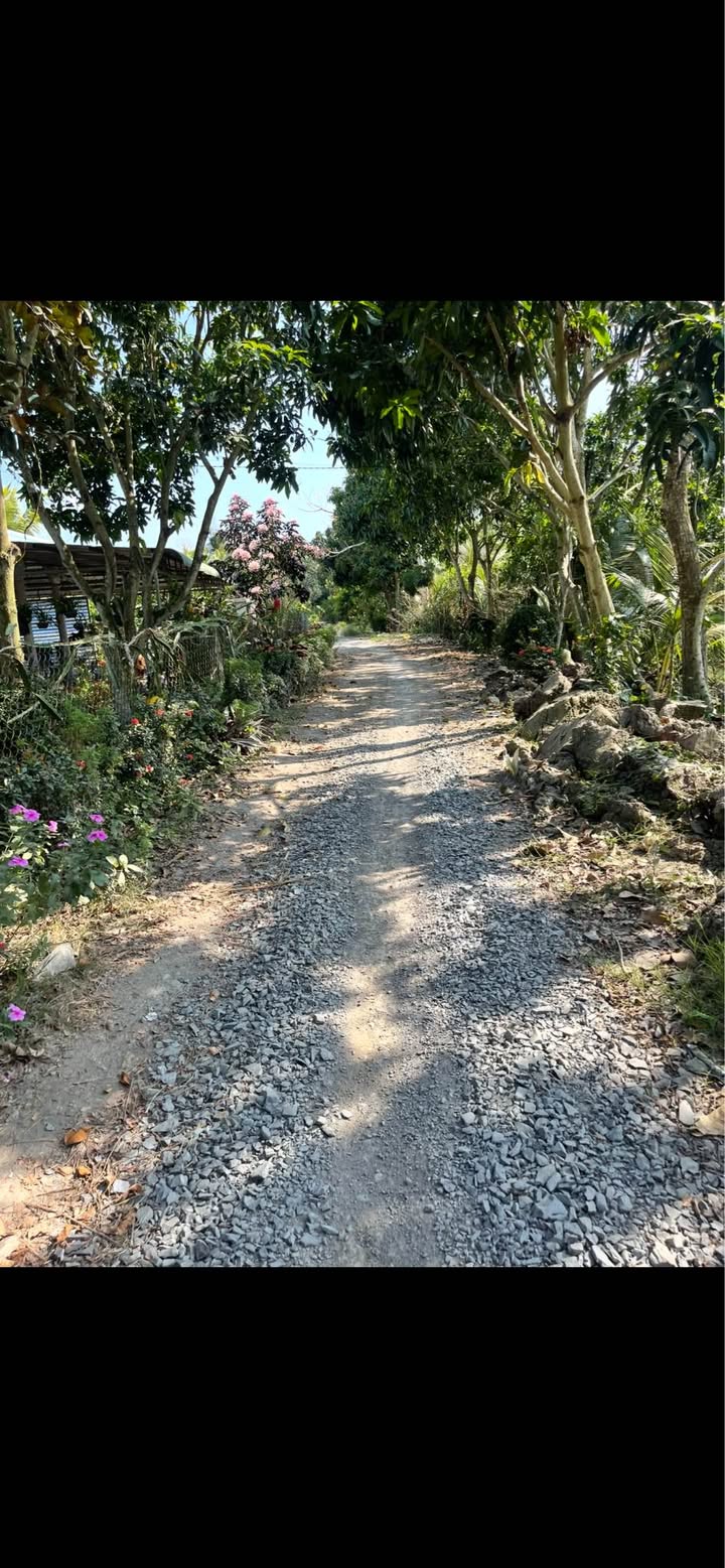 Đất nền Phương Thịnh Cao Lãnh 156m² - Sổ đỏ chính chủ