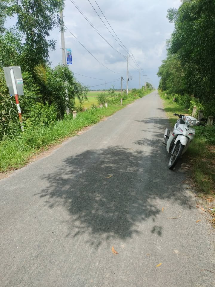 Đất nền Tân Long Long An 13.000m² 10 tỷ - Sổ hồng rõ ràng