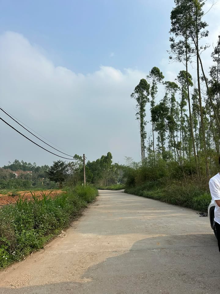 Đất nền Phong Châu 223m² - Sổ đỏ chính chủ, nhỉnh 1 tỷ!