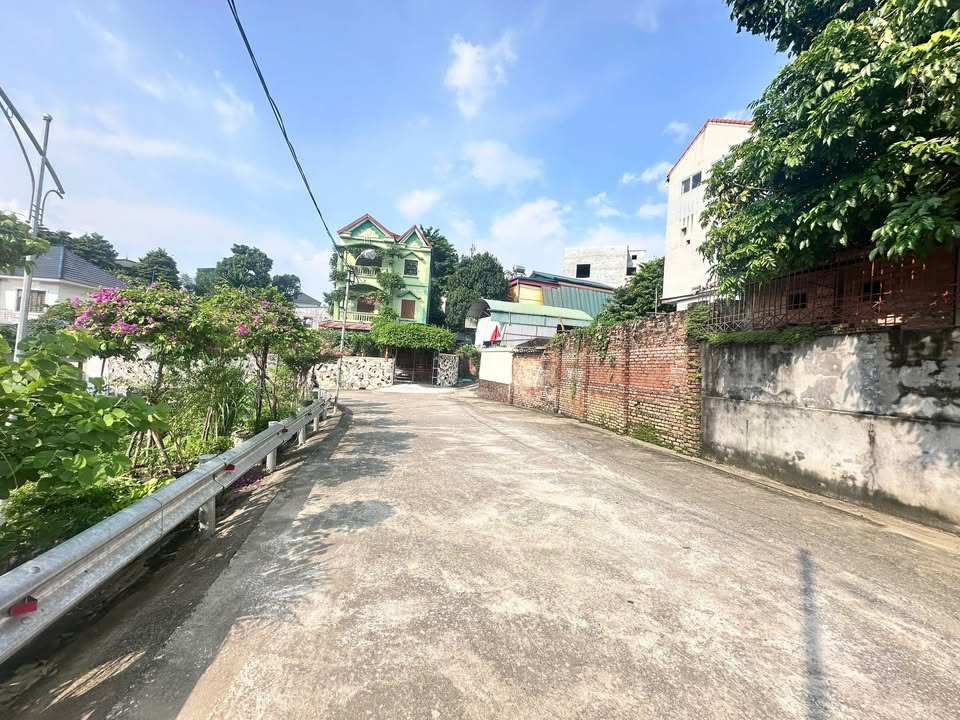 Đất nền Việt Trì 86.5m² Đường Trần Phú - Tiềm năng tăng giá vượt trội!