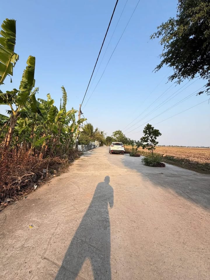 Đất nền Thái Thụy 211m² giá 900 triệu - Tiềm năng tăng giá cao!