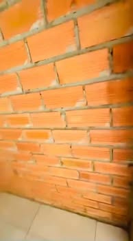 Nhà Mặt Tiền Xã Bến Củi 492m² - Đầu Tư Sinh Lời Hấp Dẫn!