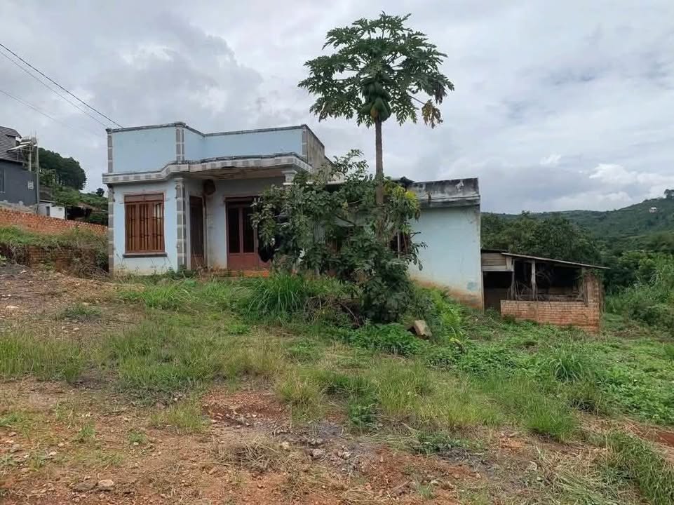 Đất nền Mê Linh Đà Lạt 1050m² - Sổ đỏ chính chủ, tiềm năng sinh lời!