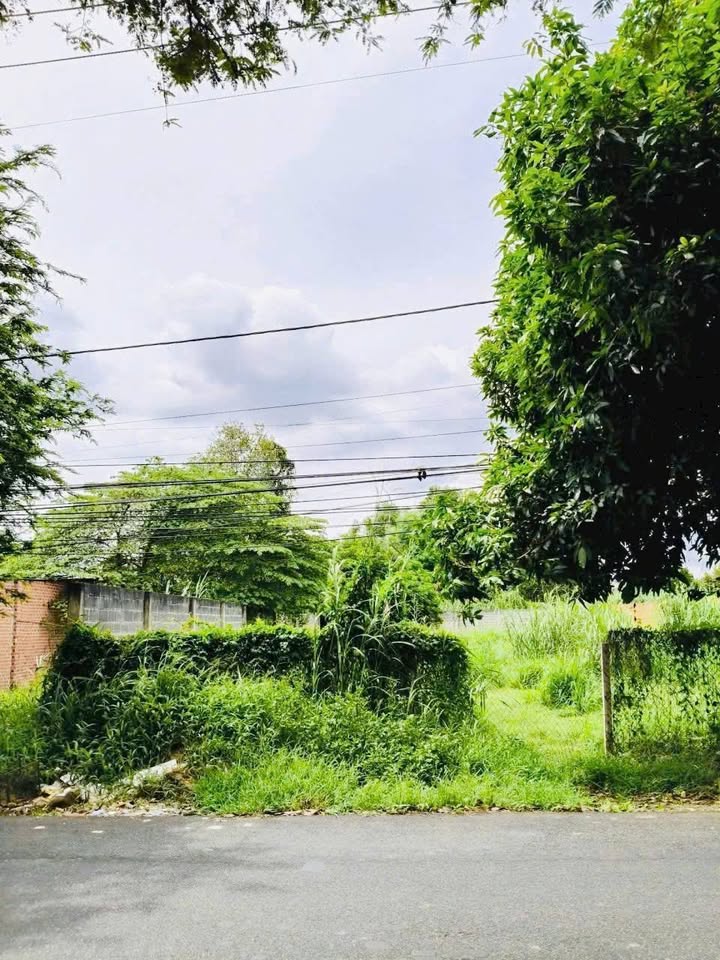 Đất nền Bà Rịa - Vũng Tàu 360m² - Tiềm năng tăng giá!