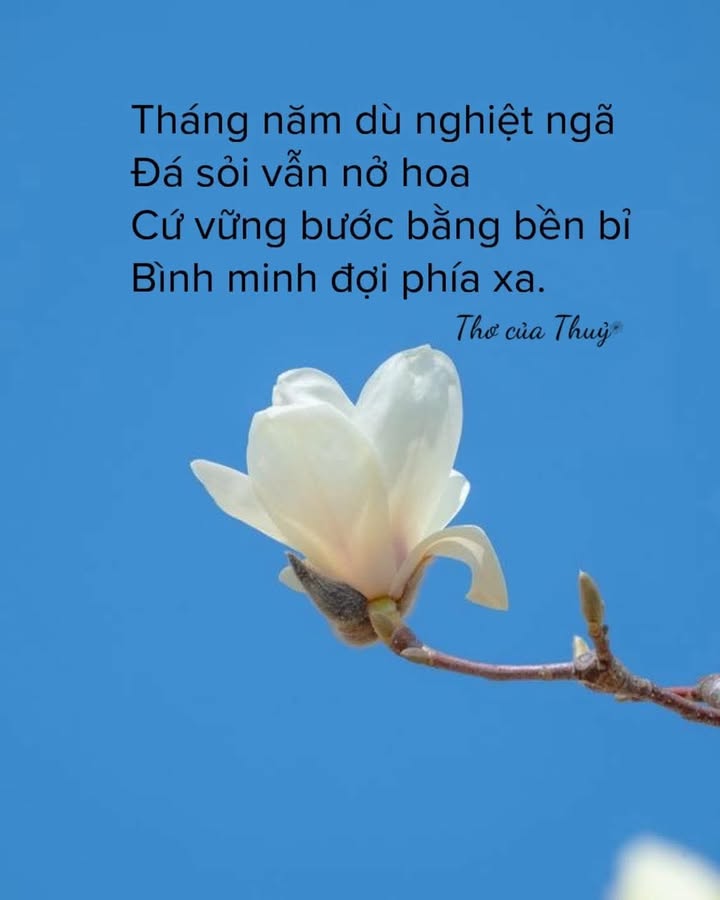 Đất nền Tứ Ngân, Ngũ Hành Sơn 77m² - Sổ đỏ chính chủ!