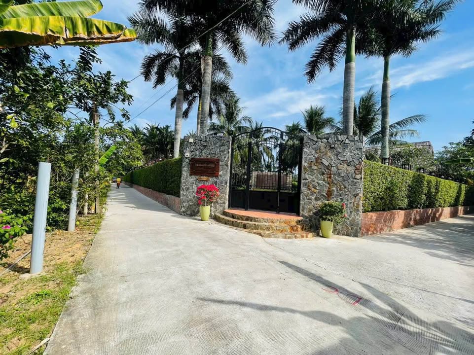 Bán Đất Cồn Thới Sơn 300m² - Gần KDL, 2p ra cầu Rạch Miễu 2