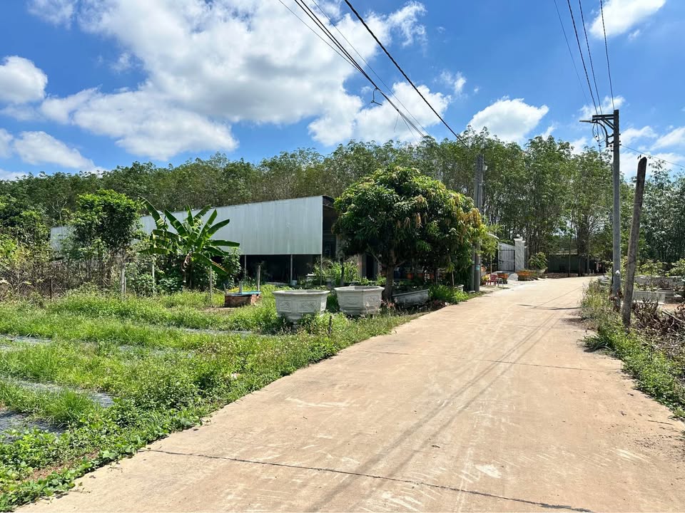 Đất nền Quốc lộ 13 Bình Thạnh 350m² Sổ đỏ chính chủ!