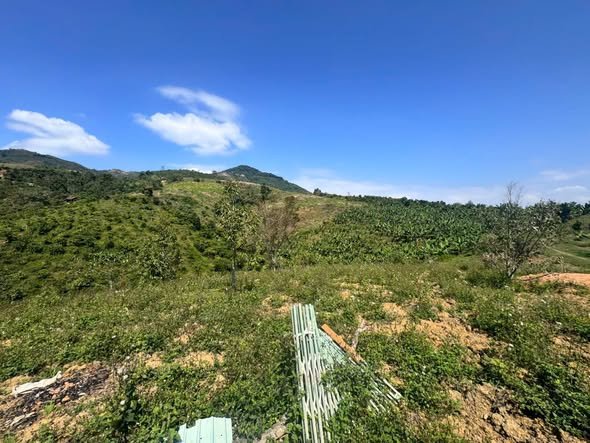 Bán Gấp Đất Vườn 2907m² Lộc Thành, Bảo Lâm - Giá Đầu Tư 1.7 Tỷ