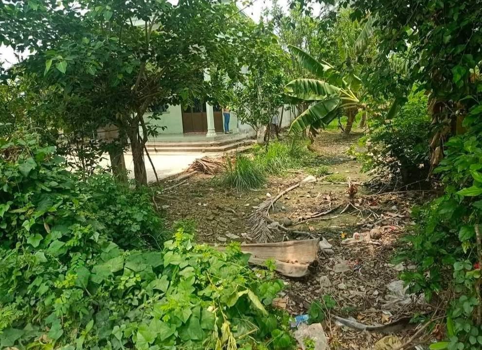 Đất nền Châu Thành, Trà Vinh 318m² - Tiềm năng tăng giá vượt trội!