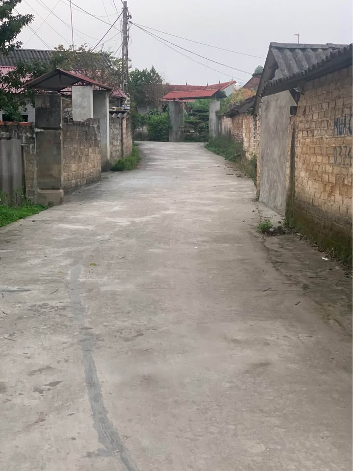 Đất nền Bố Hạ Yên Thế 100m² hơn 500 triệu - Sổ đỏ chính chủ