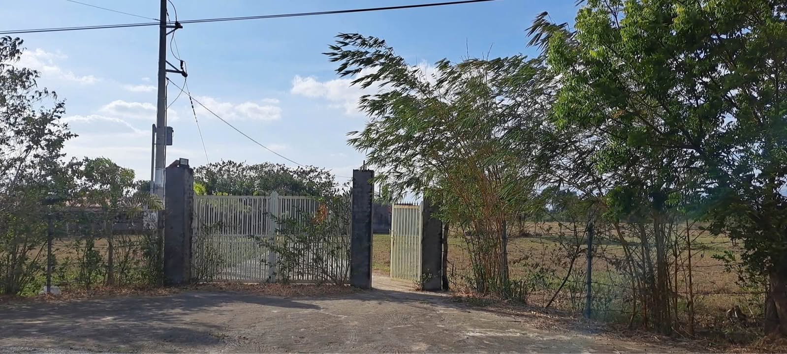 Đất Vườn Phước Bình, Bác Ái 12ha – Sinh Thái Xanh, Tiềm Năng Vượt Trội!