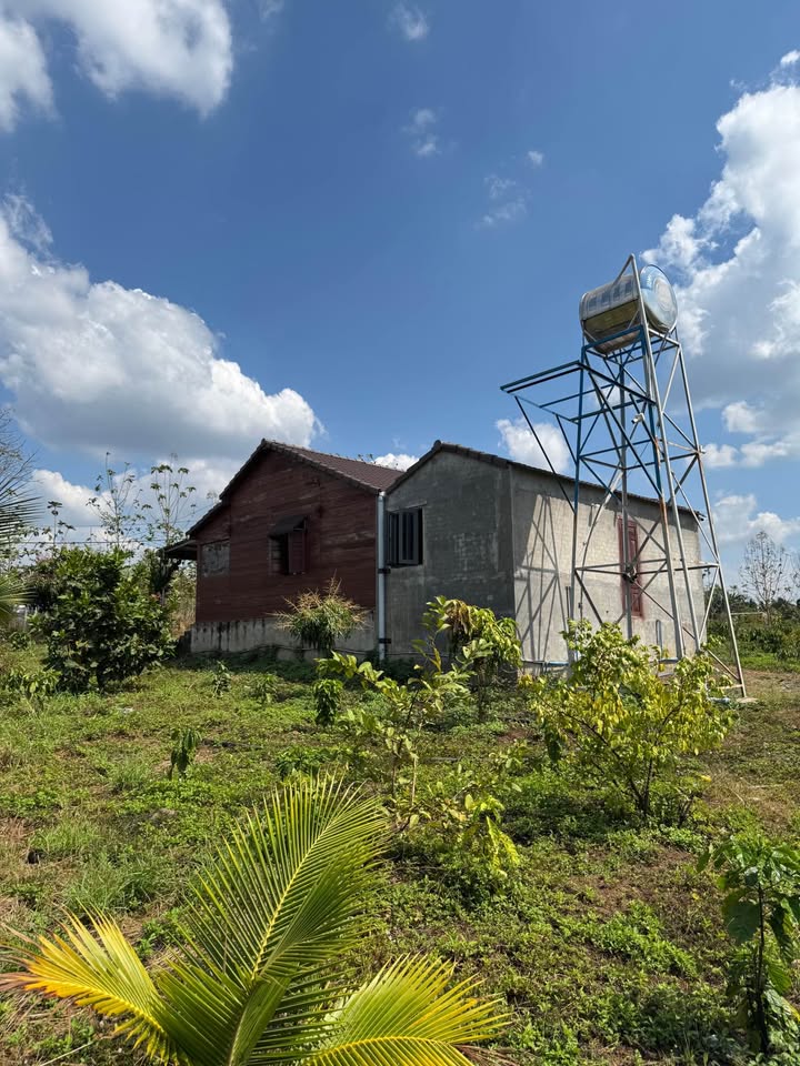 Bán 1.7ha rẫy Ea M'do Krông Pắc 4.25 tỷ - Nghỉ dưỡng lý tưởng!