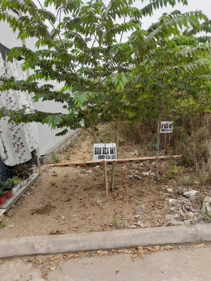 Đất nền An Thạnh Trung, Chợ Mới 80m² - Xây dựng tự do!