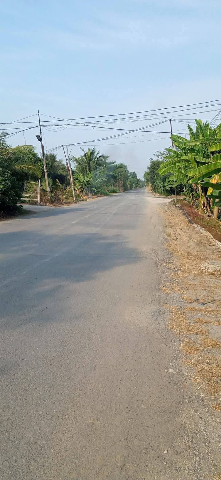 Bán Gấp Đất Vườn 5200m² Đức Hòa, Long An - Sổ Đỏ, Giá 3.4 Tỷ