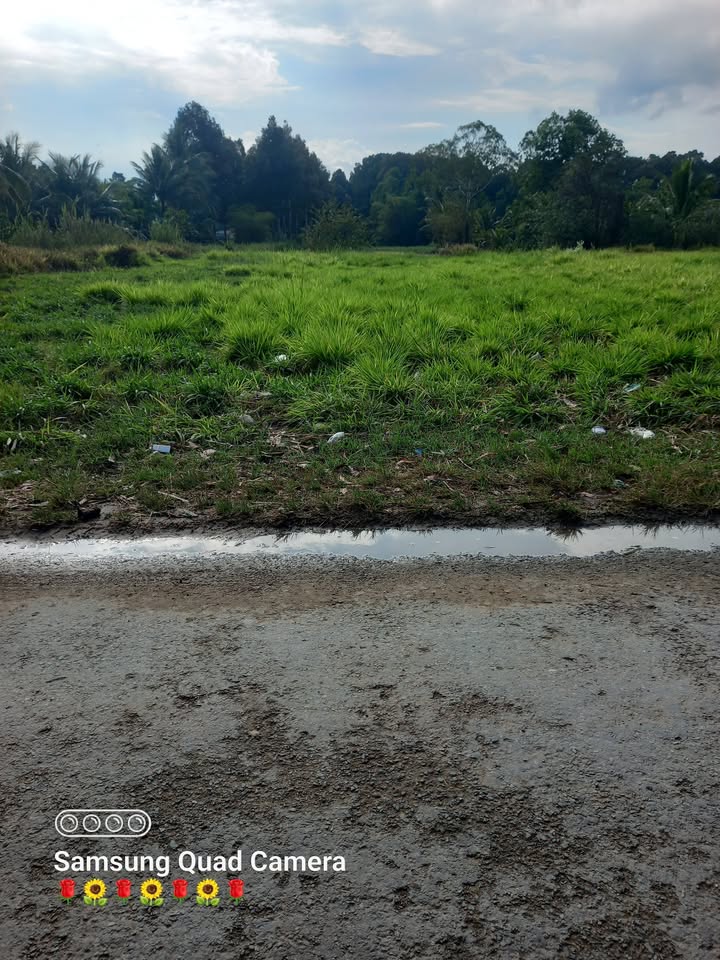 Đất nền Lưu Nghiệp Anh 495m² - Đường nhựa, sổ đỏ chính chủ!