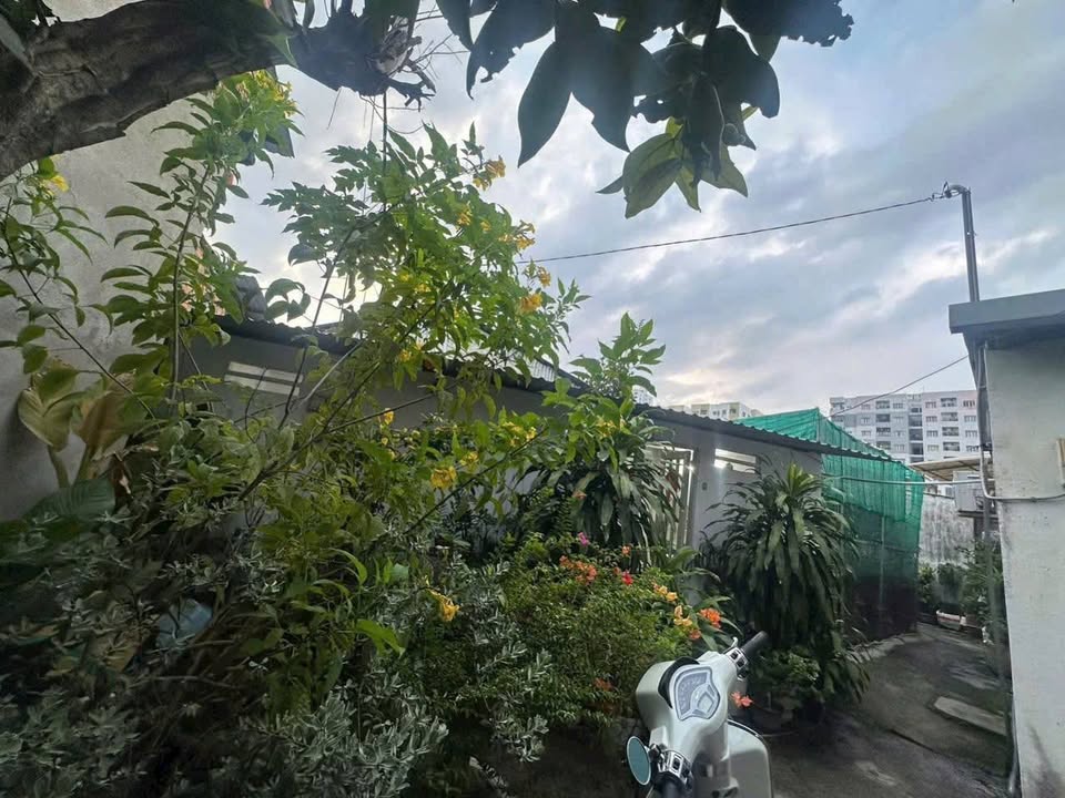 Đất nền Quận 8 190m² tặng nhà Cấp 4, Sổ hồng chính chủ!