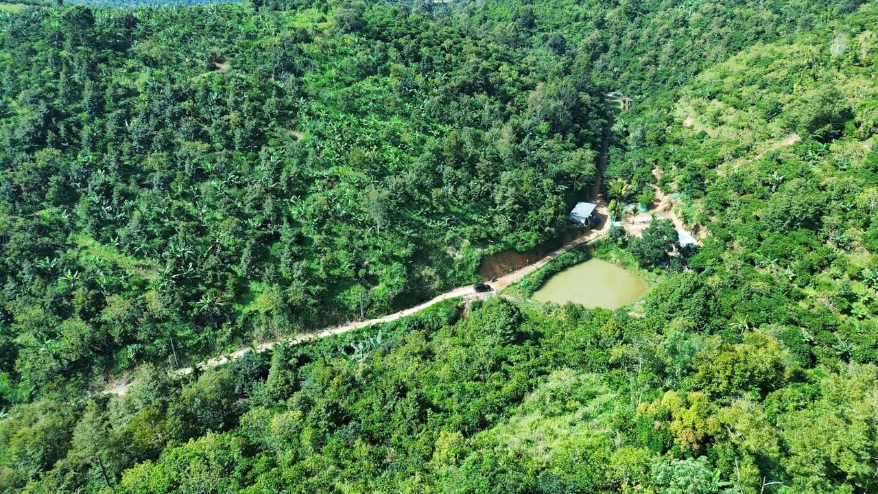 Bán Gấp 2 Lô Đất Vườn 3.2ha Tại Bảo Lâm, Lâm Đồng - Giá Đầu Tư 11.1 Tỷ