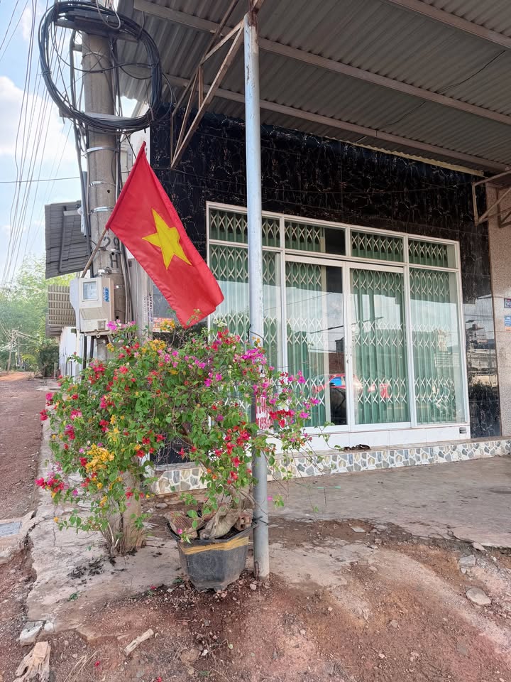 Nhà Mặt Tiền DT753 - 753m² - 5 Phòng Trọ - Kinh Doanh Đắc Lợi - 4.5 Tỷ