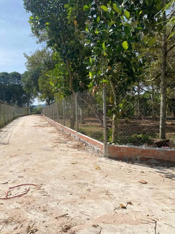 Đất nền Xuân Lập Long Khánh 500m² - Đường bê tông ô tô vào tận nơi!