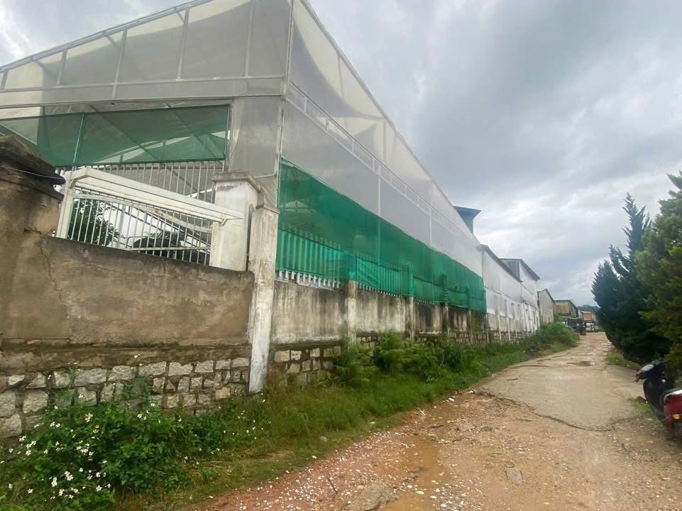 Mặt bằng Đà Lạt 439m² - Mặt tiền kinh doanh, giá 42 triệu!