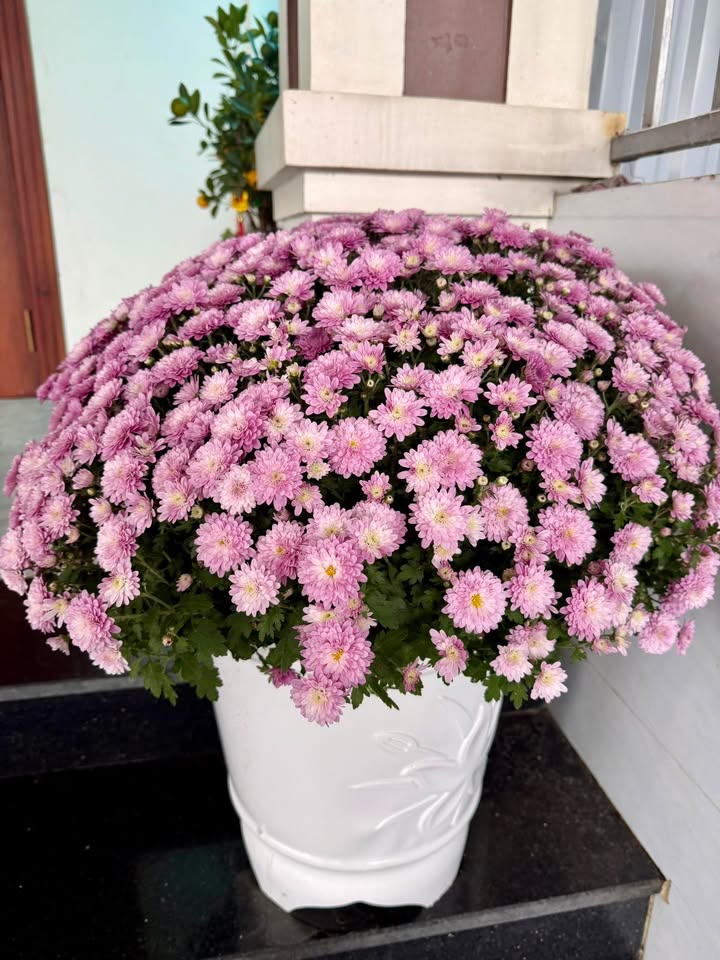 Đất nền Xuân An, Nghi Xuân 166m² - Sổ đỏ chính chủ, tiềm năng đầu tư!