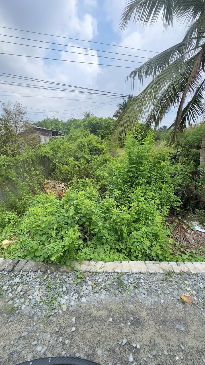 Bán Nền 180m² Cần Thơ - Sổ Hồng Sẵn, Ô Tô Tới Nền