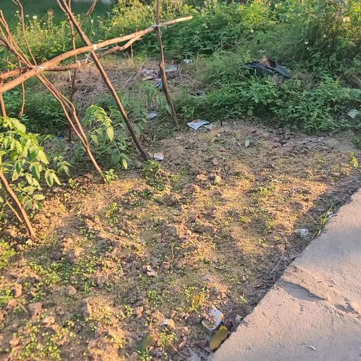 Bán đất thổ cư 125m² vuông vắn tại Xã Cộng Hòa, Hưng Yên - Giá 2 tỷ