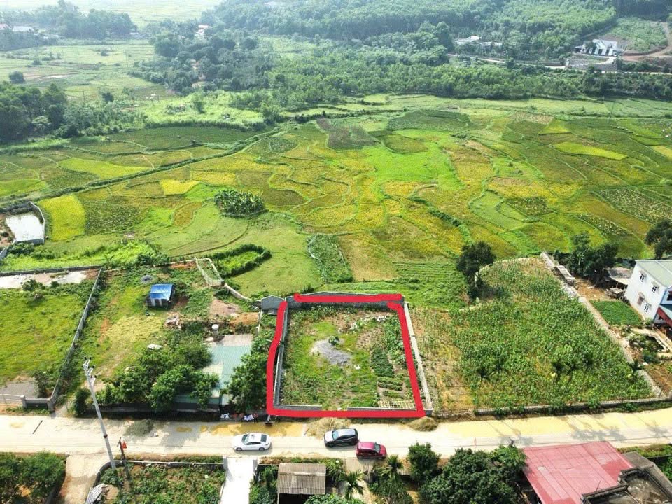 Đất nền Cư Yên, Lương Sơn 1148m² - Tiềm năng tăng giá vượt trội!