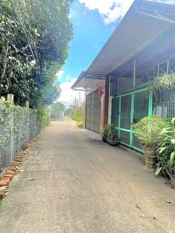 Đất nền Lê Quý Đôn Đức Phổ 100m² - Đường to ô tô, hướng Nam tài lộc!