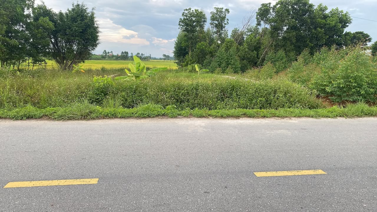 Đất nền Chí Linh Hải Dương 200m² - Sổ đỏ chính chủ, sát KCN!