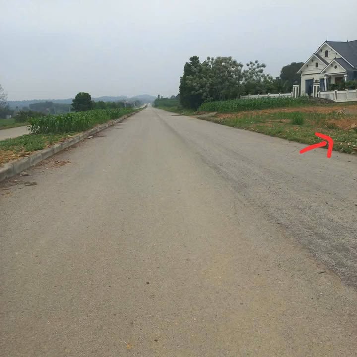 Đất nền Lam Sơn Sao Vàng 305m² - Sổ đỏ sẵn sàng, đường 57m