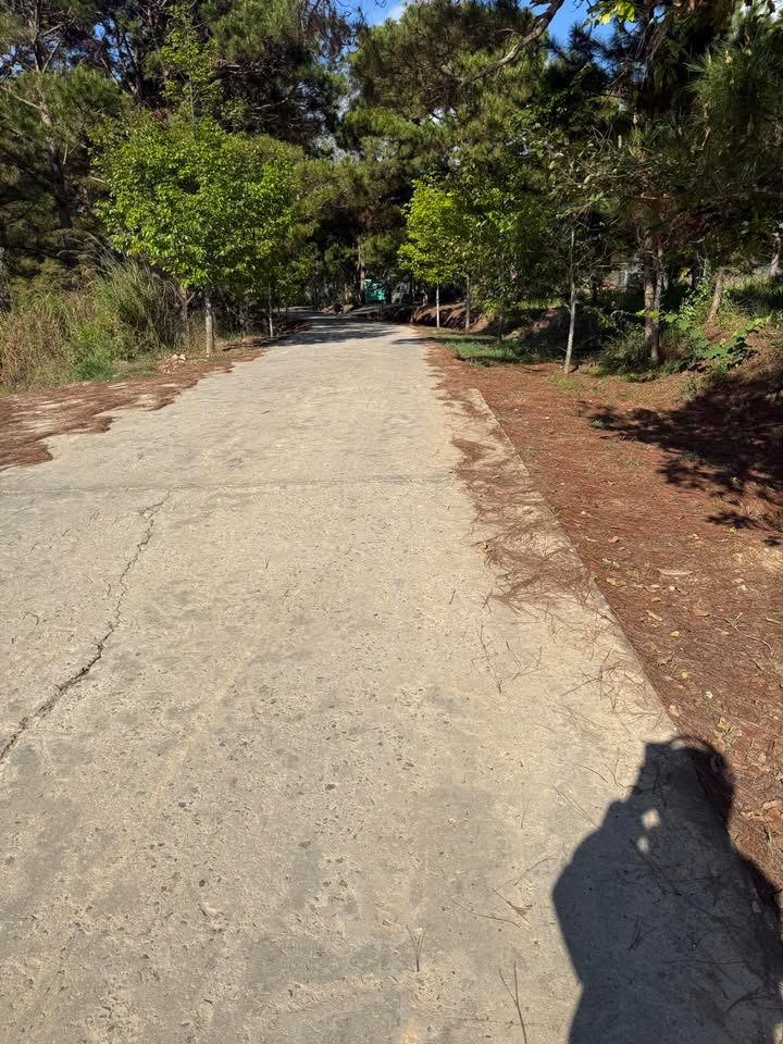 Đất Thổ Cư D'Ran 72m² - Sổ Đỏ Riêng, Giá Đầu Tư 550 Triệu