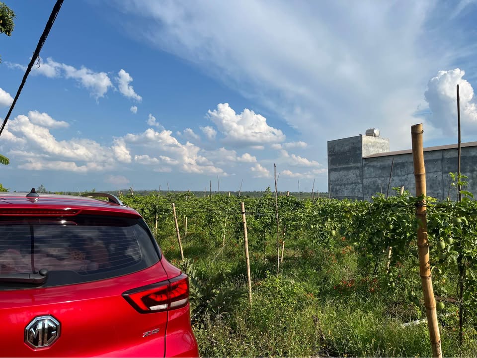 Đất Xã Ea Bar Đắk Lắk 543m² - Giá 299 Triệu, Sổ Riêng