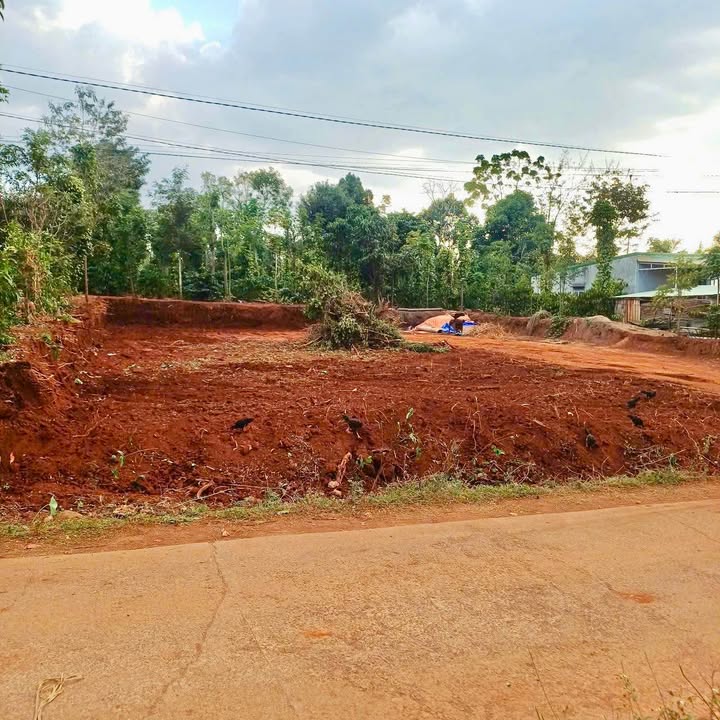 Đất nền Cư Suê 150m² 399 triệu - Tiềm năng tăng giá mạnh!