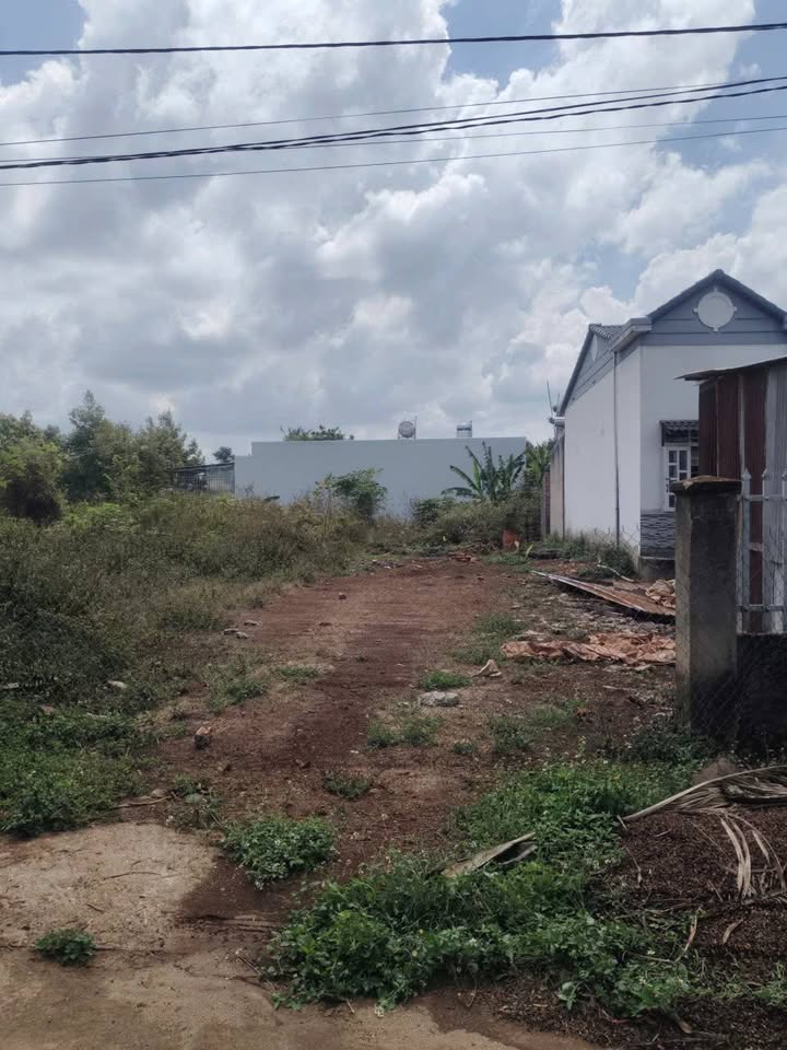 Đất nền Tân An, Buôn Ma Thuột 100m² - Tiềm năng tăng giá vượt trội!