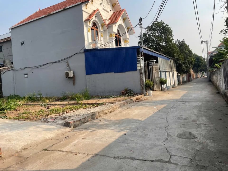 Bán đất thổ cư Yên Dũng, Bắc Giang 43m² - Đường ô tô, dân cư sầm uất