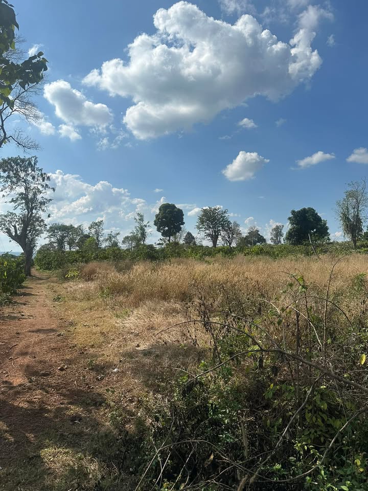 Đất nền Nam Đà, Krông Nô 1120m² - Tiềm năng tăng giá vượt trội!