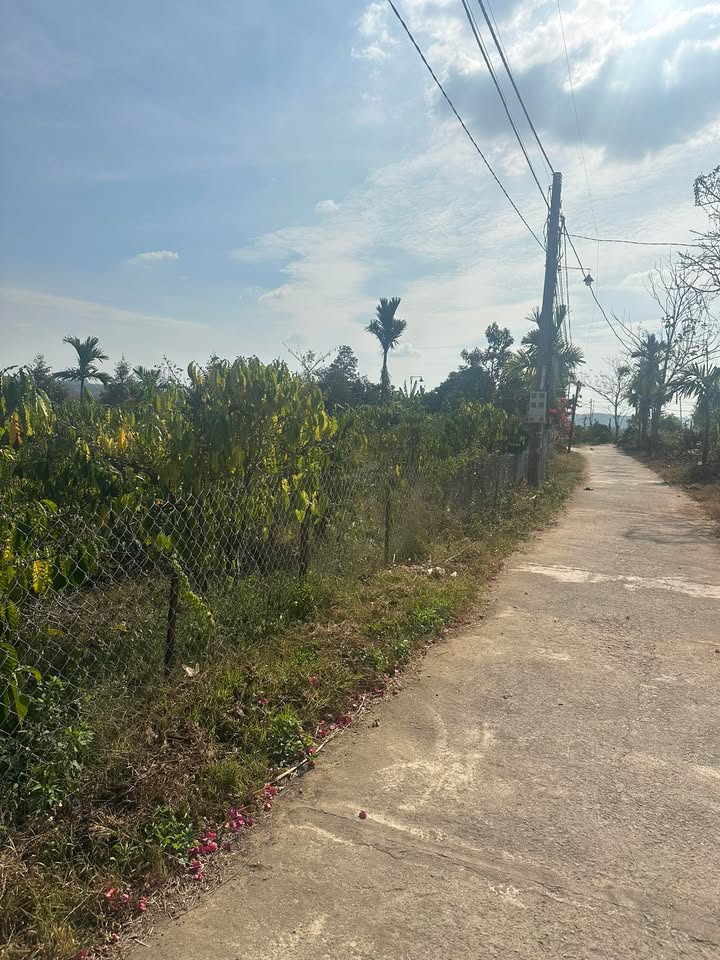 Đất nền Tỉnh lộ 683 Đắk Mâm 216m² - Đất thổ cư 100%