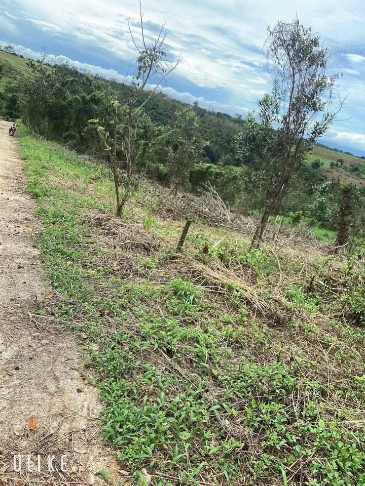 Đất nền Đắk Ha, Đăk Glong 1020m² giá 807.5 triệu - Tiềm năng tăng giá!