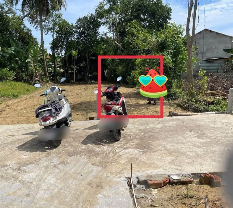 Đất Nền Hòa Vang 100m² - Giá 900 Triệu, Kiệt Oto, Sổ Đỏ Sẵn Sàng