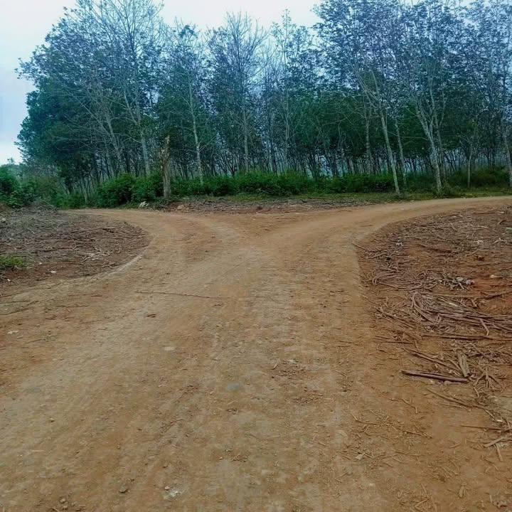 Bán Đất Vườn Ea Bar Buôn Đôn 2.1ha Giá 1.47 Tỷ - Đầu Tư Sinh Lời