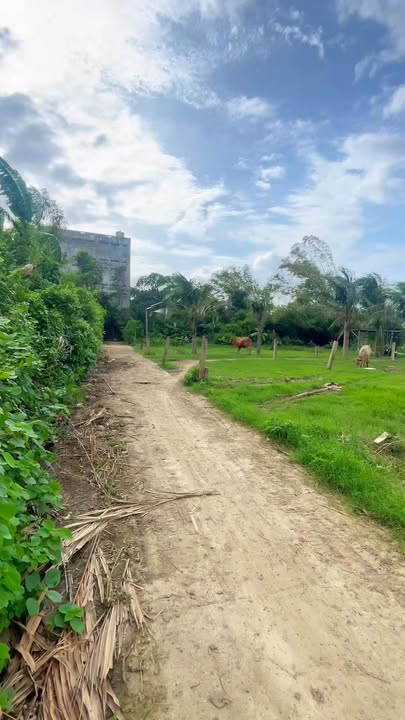 Đất nền Khu Phố Phước Lộc, Tuy Hòa 281m² - Đất thổ cư 100%!