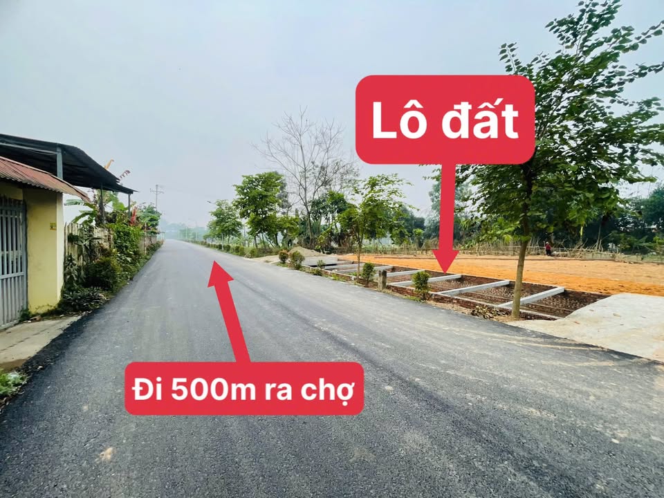 Đất nền Bàn Giản 100m² đường TL 306 - Tiềm năng tăng giá vượt trội!